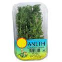 LES HERBES DU PERUSSIER-839818
