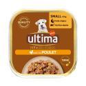 Ultima-841026