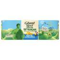 GEANT VERT-873723