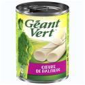 GEANT VERT-888314