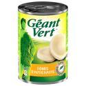 GEANT VERT-888392