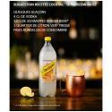 SCHWEPPES-889591