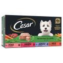 CESAR-903948