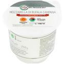 L'ITALIE DES FROMAGES-930056